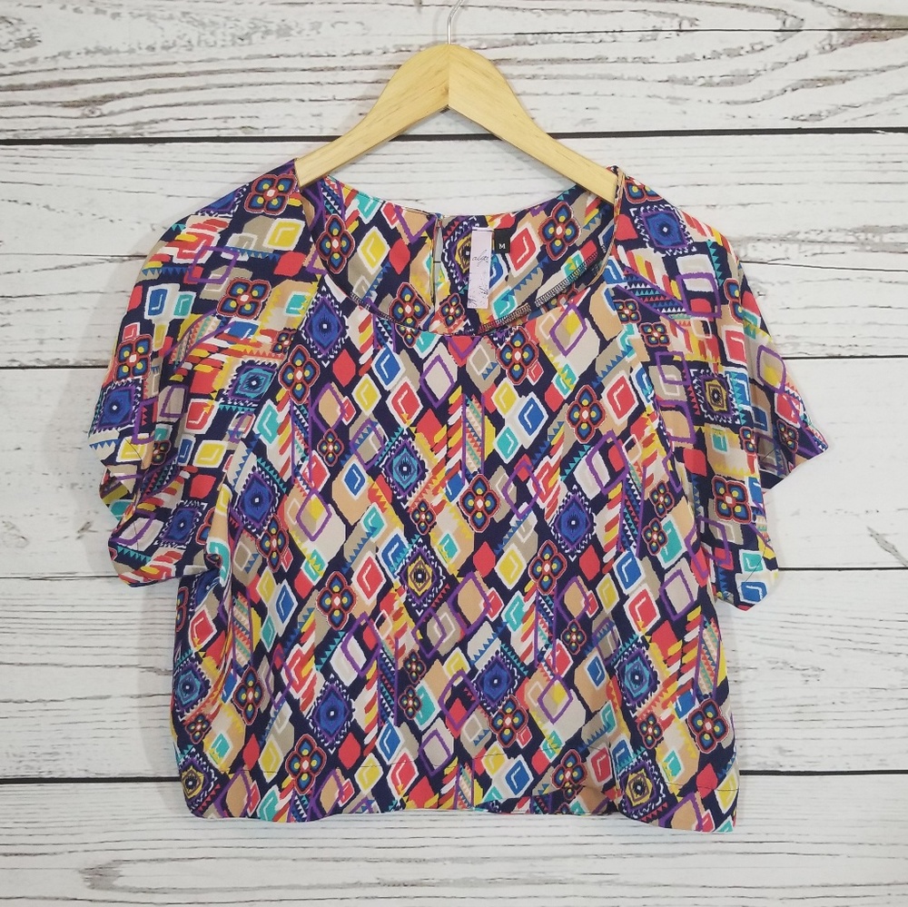 Alya Multi color Crop Top
